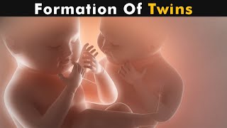 How Twins Are Formed  Fraternal twins amp identical twins UrduHindi [upl. by Ahsinna]