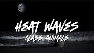 GlassAnimals  heat waves lyrics [upl. by Aldwon892]