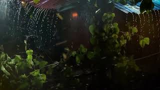 Rain Thunderstorm and Piano Sounds for Sleep [upl. by Braunstein]