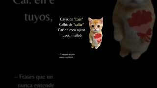 DEDICAR😍 heeseoluv amor identificarse recomendados gatos youtuberecomiendamemrd [upl. by Gnilyarg845]