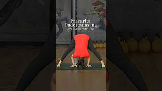 Prasarita Padottanasana  Yoga For Runners  Stretching For Runners  Yoga For Athletes VentunoYoga [upl. by Towroy]