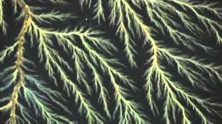 Lichtenberg Figure Vertical Dendritic [upl. by Cedell577]