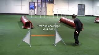 Agility course training  online course [upl. by Ddart]