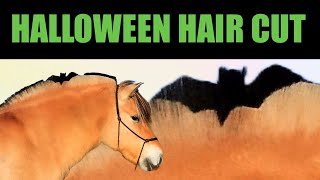 HALLOWEEN MANE TRIMMING ON MY FJORD HORSE [upl. by Puri]