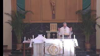 St Petronille LiveStream  Rosary amp Mass Wednesday July 17 2024 730 AM St Camillus De Lellis [upl. by Mischa]