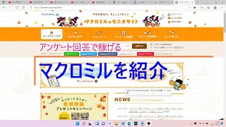 アンケート回答で稼げるマクロミルを2週間やってみた 気になる収益金額は？ [upl. by Aivyls588]