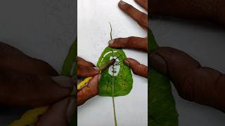 Dhami Drashti On Leaf Carving Art  Leaf Art  shorts short youtubeshorts [upl. by Sonja587]