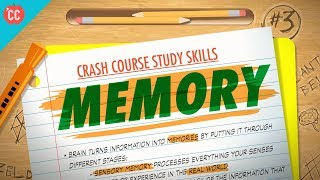 Memory Crash Course Study Skills 3 [upl. by Kistner]