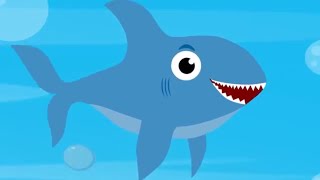 Baby Shark Song  Learn Animal Sounds for Toddlers  Kids Learning Videos [upl. by Kinson]