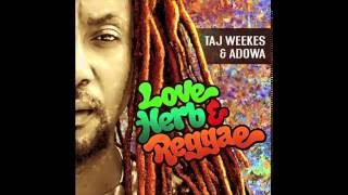 Taj Weekes amp Adowa  The Laws against marijuana 2016  REGGAE [upl. by Nosreh]