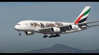 3 HRs Watching Airplanes Aircraft Identification  Plane Spotting Los Angeles International Airport [upl. by Goldsworthy18]