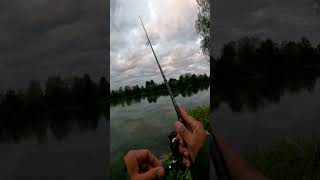 Ich teste euren Tipp gegen Grundeln Spot wechseln angeln fishing grundel [upl. by Palla]