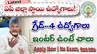 AP District jobs 2024 ap contract jobs 2024 ap outsourcing jobs 2024 rk tutorial [upl. by Jerrol482]