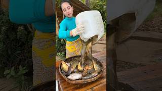 How to cook fish recipe  shorts cooking recipe food shortvideo [upl. by Ettezzus]