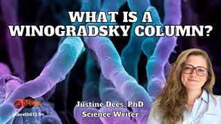 Ep 36 What is a quotWinogradsky columnquot [upl. by Nehte]