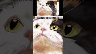 autodesk sketchbook drawing catdrawing pet autodesksketchbook digitalpainting satisfying [upl. by Selimah183]