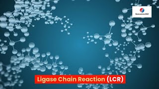 Ligase Chain Reaction LCR [upl. by Danella]