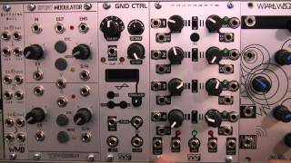 Modular Wild Presents PROFILESteady State Fate Propagate [upl. by Rosalyn802]