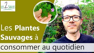 Quelques Plantes Sauvages Comestibles  Petit tour du Jardin 2020 [upl. by Eislrahc]