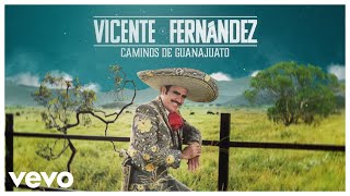 Vicente Fernández  Camino de Guanajuato Mix 2023 Video Lyrics [upl. by Ajam313]