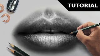 Draw Hyper Realistic lips  Stepbystep  Easiest method [upl. by Kristof]