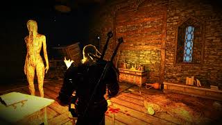 Creepy Ghost in Towerful of Mice  The Witcher 3 [upl. by Senalda]