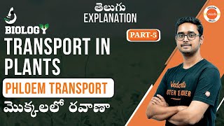 Phloem Transport  Transport in Plants Part 5  NEET  Ts amp AP  Ajay Sir  Vedantu Telugu [upl. by Lasala557]