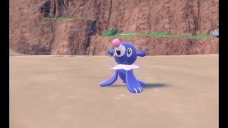 My Shiny Popplio evolves in Pokémon Violet [upl. by Hitt69]