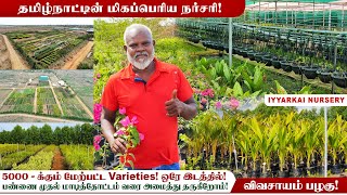 🌴🌿 இயற்கை நர்சரி மிகப்பெரிய உற்பத்தி நிலையம் 😱 No Hybrid plants ❗ Biggest nursery in tamilnadu [upl. by Anayhd223]