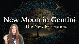 New Moon in Gemini  The New Perceptions  June 18th 2023  Moon Omens [upl. by Mesics]