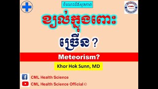 ខ្យល់ក្នុងពោះ ច្រើន Meteorism and Flatulence l CML Health Science Official [upl. by Zerep298]