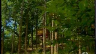 Cabañas en los arboles  Antena3 Noticias 21072009 avi [upl. by Ssecnirp]