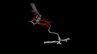 Multicanonical MD simuation of Protein Folding [upl. by Enomis]