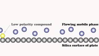 Chromatographic Separation Explained [upl. by Dnana]