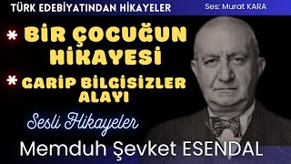 quotBir Çocuğun Hikayesiquot quotGarip Bilgisizler Alayıquot Memduh Şevket Esendal Hikayeleri [upl. by Yeslek178]