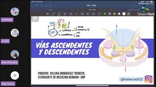 VÍAS ASCENDENTES Y DESCENDENTES DEL SISTEMA NERVIOSO [upl. by Dumah]