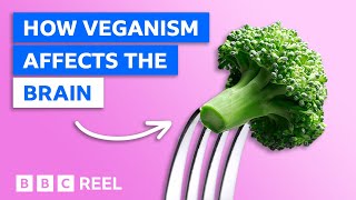 How a vegan diet affects your brain – BBC REEL [upl. by Cross]