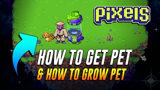 HOW TO GET PET AND HOW TO GROW PET IN PIXELS ONLINE [upl. by Edvard]