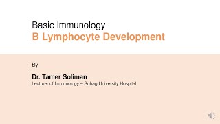 Dr Tamer Soliman  Basic Immunology  B Lymphocyte Development [upl. by Teodor]