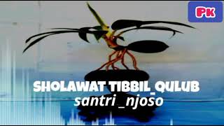 Sholawat tibbil qulub santri njoso terbaru [upl. by Cohbert]