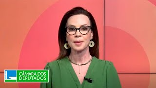 Plenário vai votar primeira etapa da regulamentação da reforma tributária  080724 DiretoDaCâmara [upl. by Saidel]