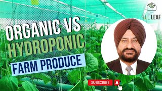 Organic Produce Vs Hydroponic Produce [upl. by Marmaduke]