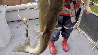 How to Catch BIG Catfish  Baits Rigging Cast Net Tutorial and Location ft Catfish and Carp [upl. by Dragon]