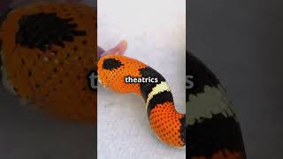 Discover the Hognose Snakes Dramatic Defense [upl. by Nosdivad795]