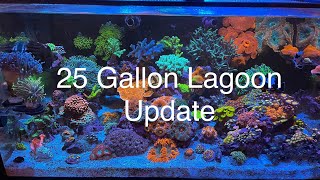 Nano Reef Tank Update Tour Innovative marine 25 gallon lagoon saltwater aquarium Tons of coral [upl. by Kopp994]