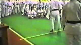 Hirokazu Kanazawa  Seminar 1994  Gankaku Sho [upl. by Ner919]