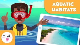 Explore Aquatic Habitats  Types of Habitats for Kids [upl. by Aydin799]