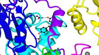 RING E3 ubiquitin ligase [upl. by Conny238]