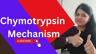 Chymotrypsin Mechanism🔥 ll Catalytic triad csirnet gatelifesciences [upl. by Neuburger605]