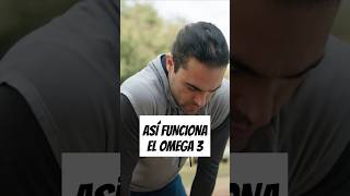 Así FUNCIONA el OMEGA 3🔥 [upl. by Illib13]